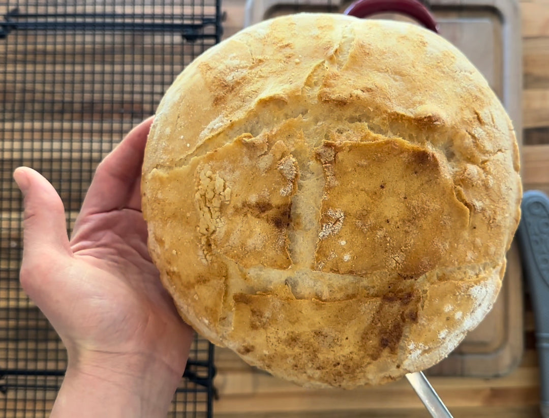 Gluten Free Rustic Bowl Bread