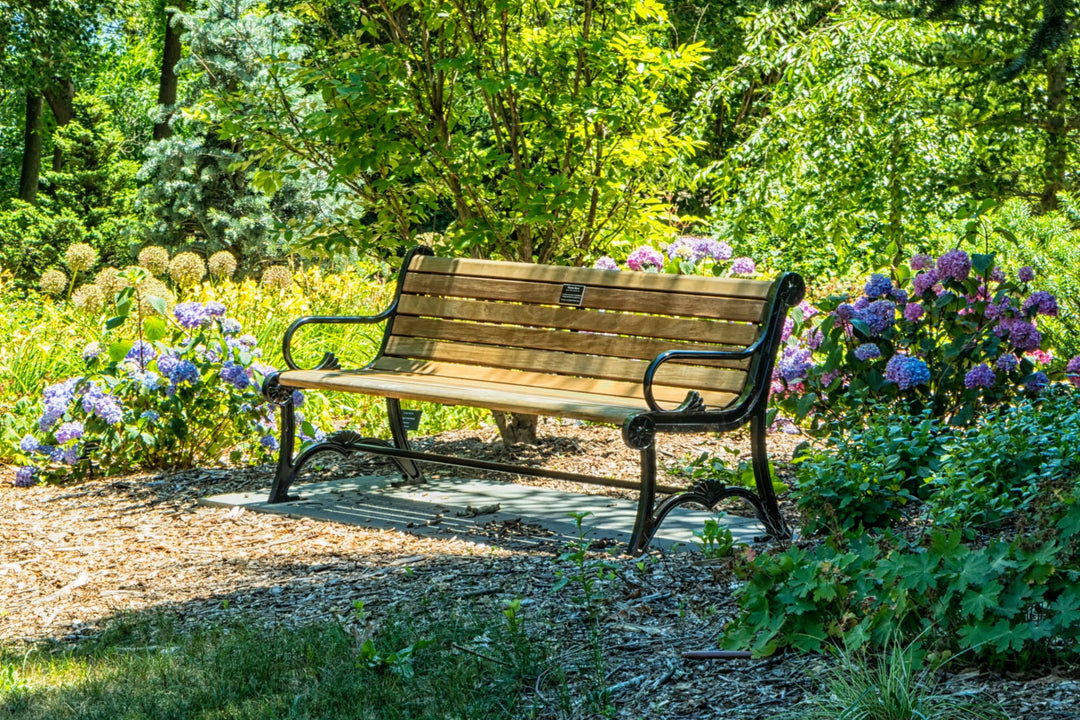 long wooden bench in park