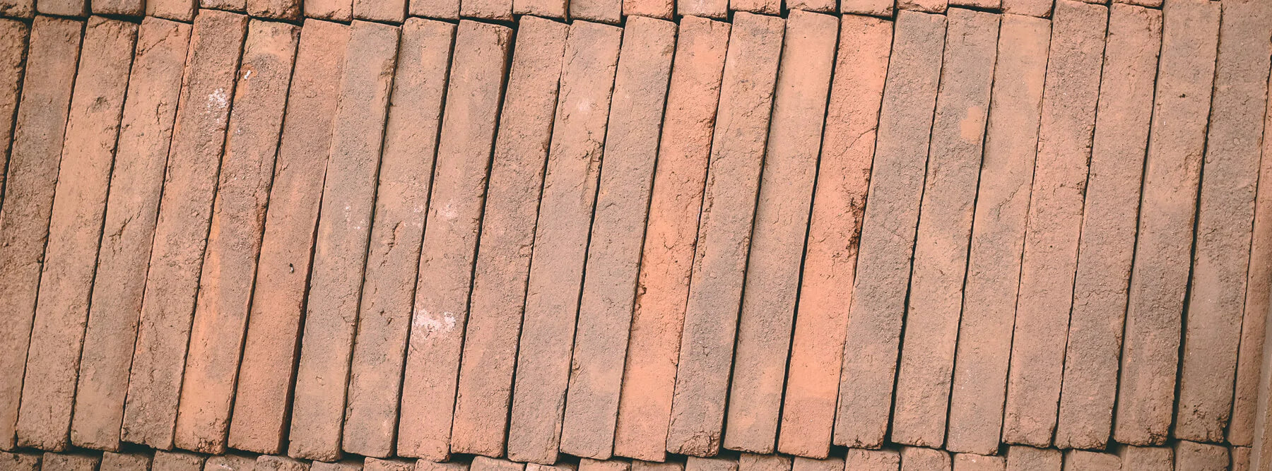 Saputo Biscotto Pizza Stones